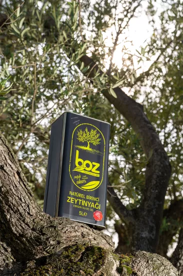 Boz Zeytinyağları